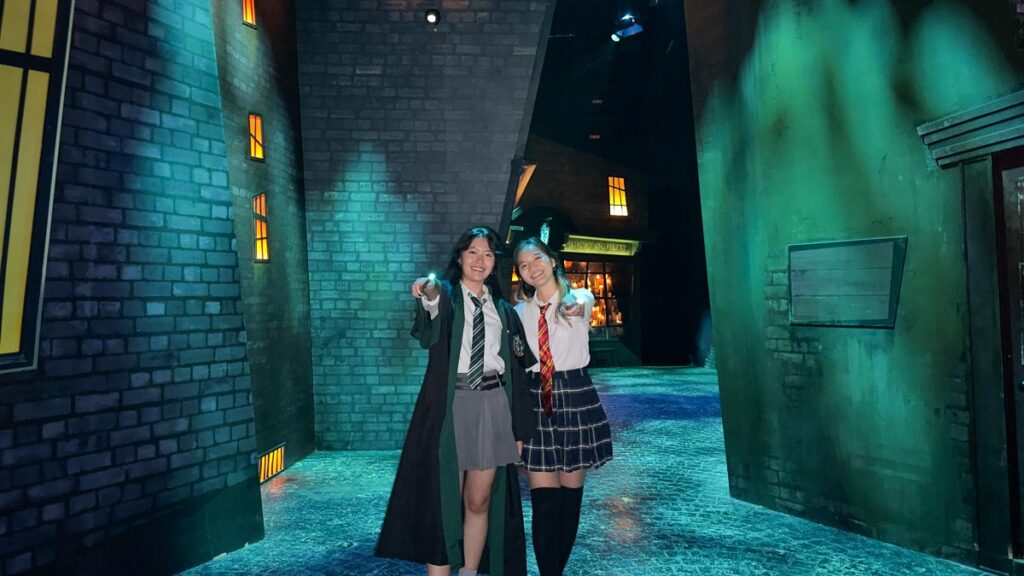 Knockturn Alley · The Shops